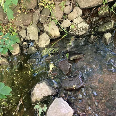 컨트리하우스 Residens Svalhoj *