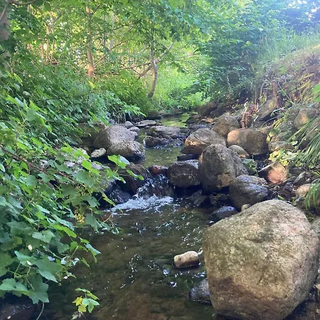 Country house Residens Svalhoj