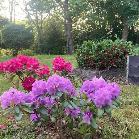 Residens Svalhoj Country house