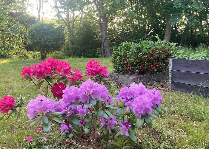 Residens Svalhoj Venkovský dům